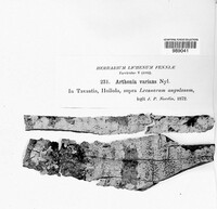 Image Associated With the Occurence